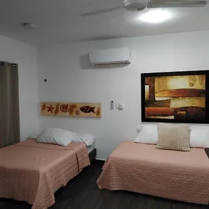 Estudio Zona Centro Cerca De La Terminal Ado Apartment Cancún